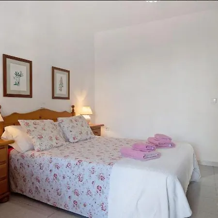 Palmeras * Πλάγια Μπλάνκα